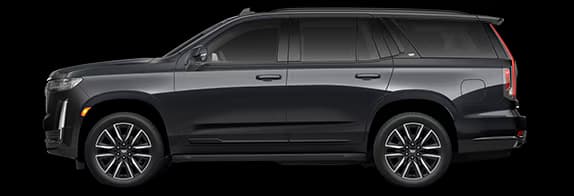 Economy MPV